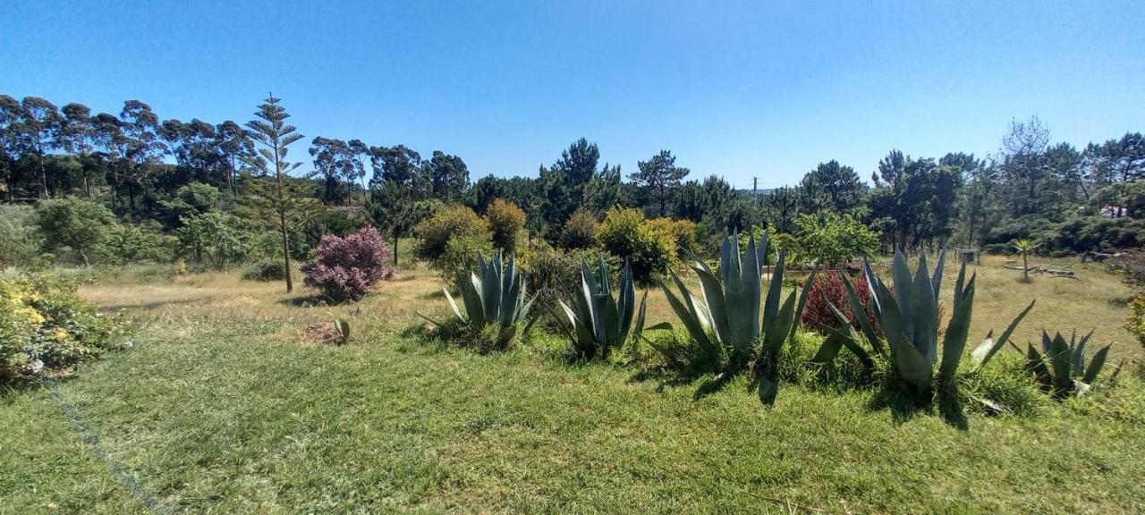 Monte Da Urze Aljezur - Agroturismo מראה חיצוני תמונה