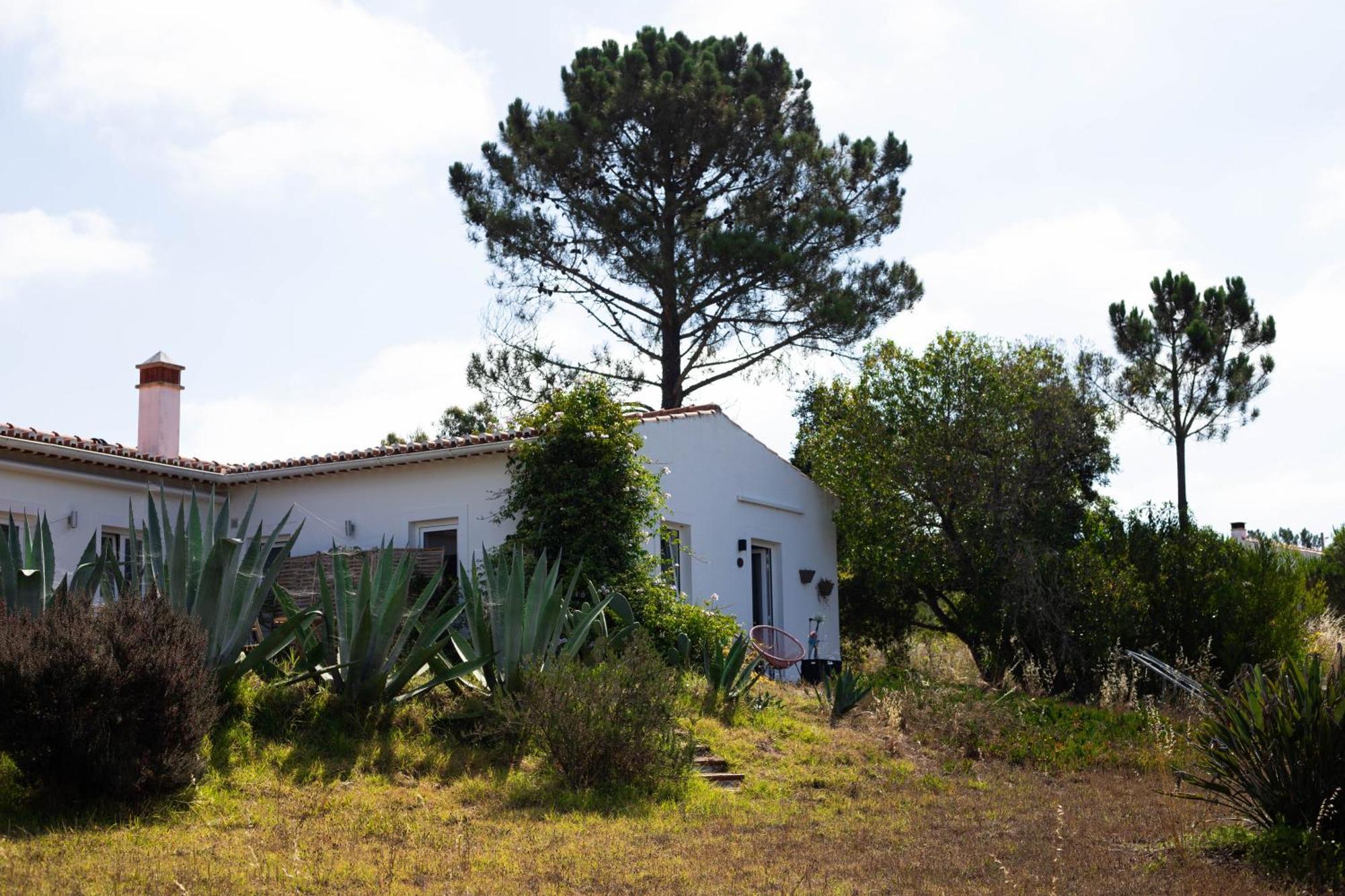 Monte Da Urze Aljezur - Agroturismo מראה חיצוני תמונה